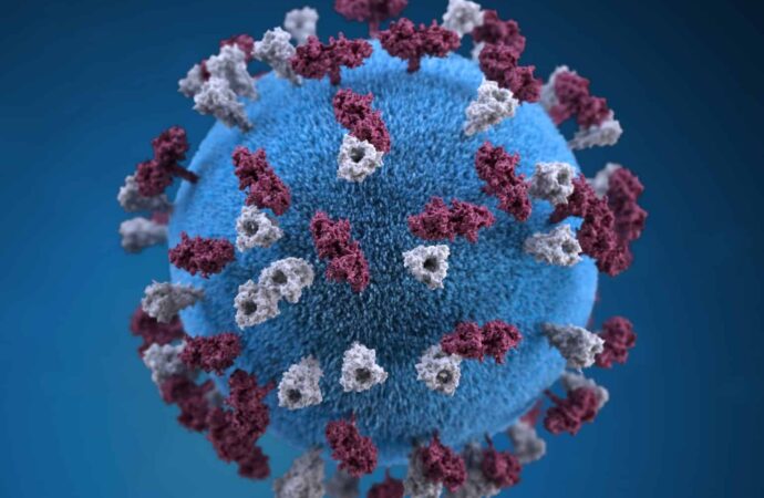 Measles cases in Nigeria are increasing
