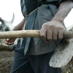 Bandits kill farmers, abduct nursing women