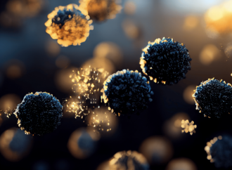 Re-emerging infectious viruses raise concerns