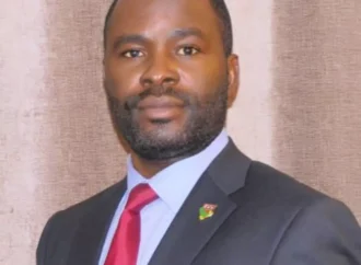 Oluwafemi Adenuga, BP presidential candidate