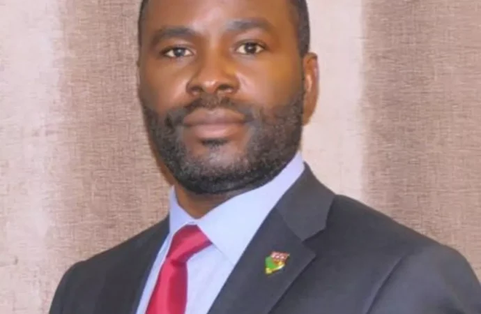 Oluwafemi Adenuga, BP presidential candidate
