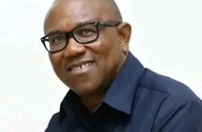 Who is Peter Obi of the Labour Party