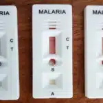 Impact of malaria prevalence in Nigeria