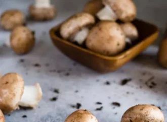 Mushroom farming could generate N1trn yearly