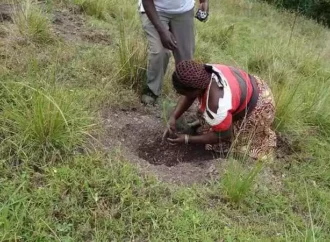 Mercy Corps launches tree-planting scheme